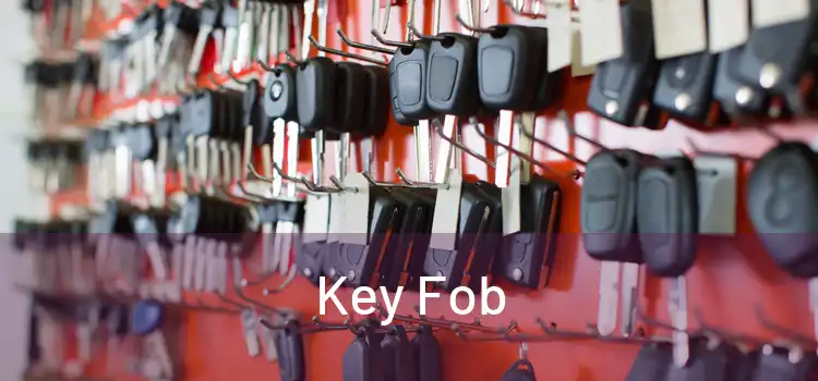  Key Fob 